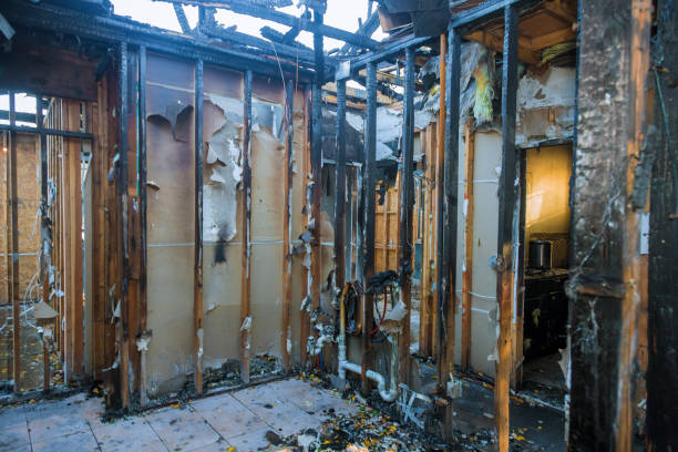Professional Fire Damage Assessment technician working in Blaine, TN